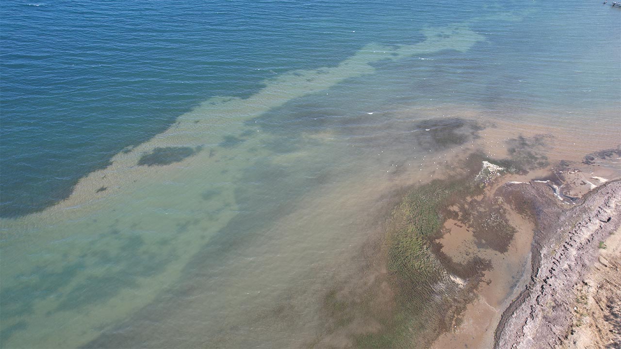 Yalova Marmara Deniz Su Cekilme Panik (3)