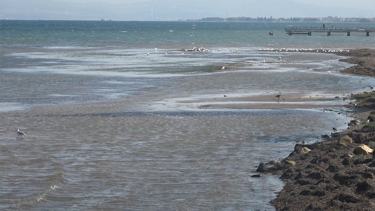 Yalova Marmara Deniz Su Cekilme Panik (5)