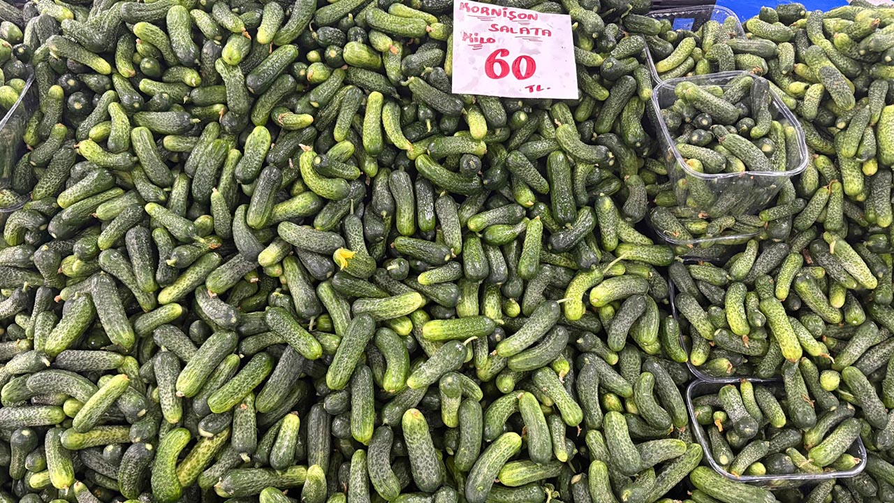 Yalova Pazar Eylul Ayi Fiyatlar (16)