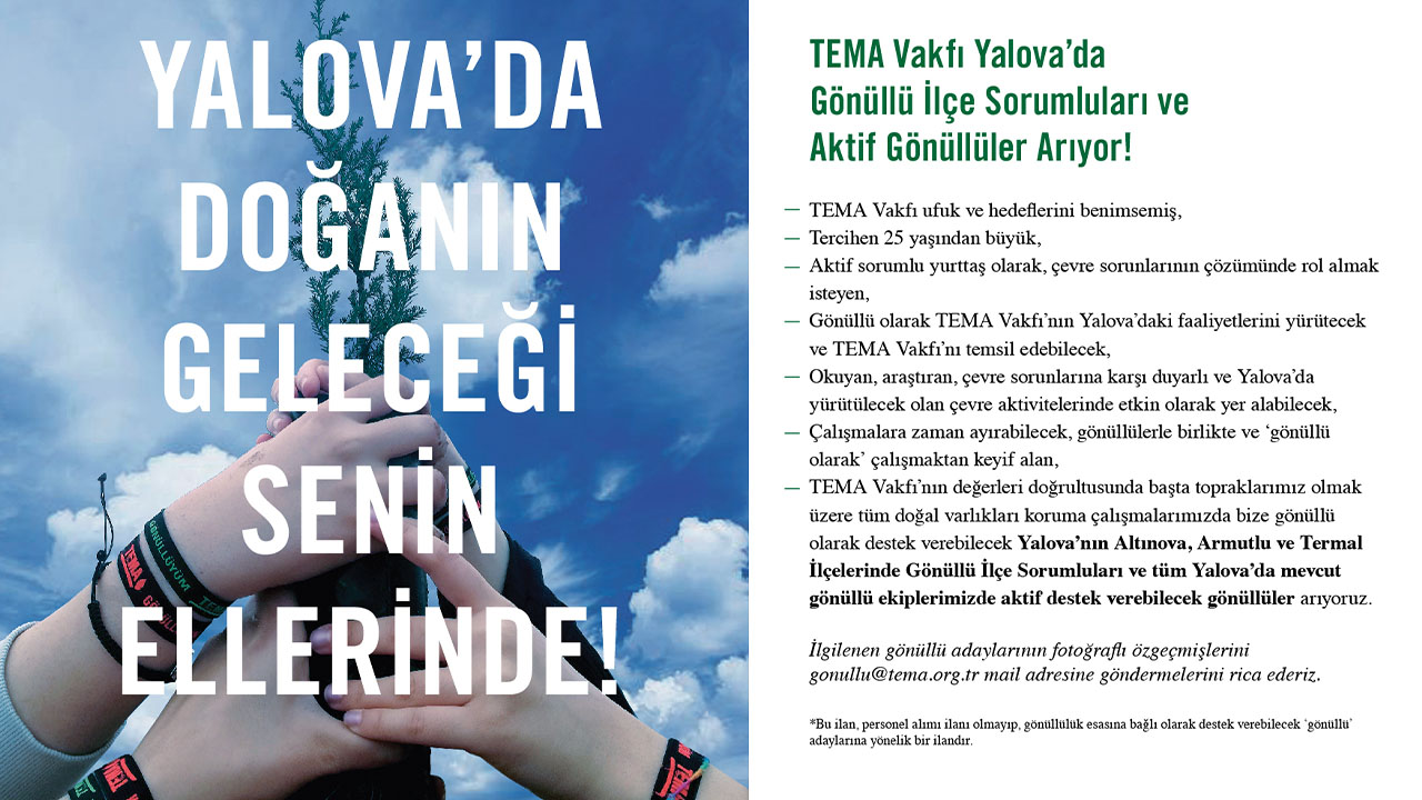 Yalova Termal Armutlu Altinova Gonullu Arayis (2)