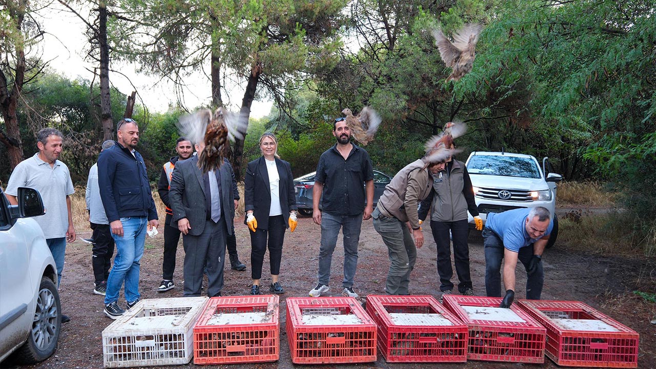 Yalova’da Doğaya 200 Sülün Salındı (3)