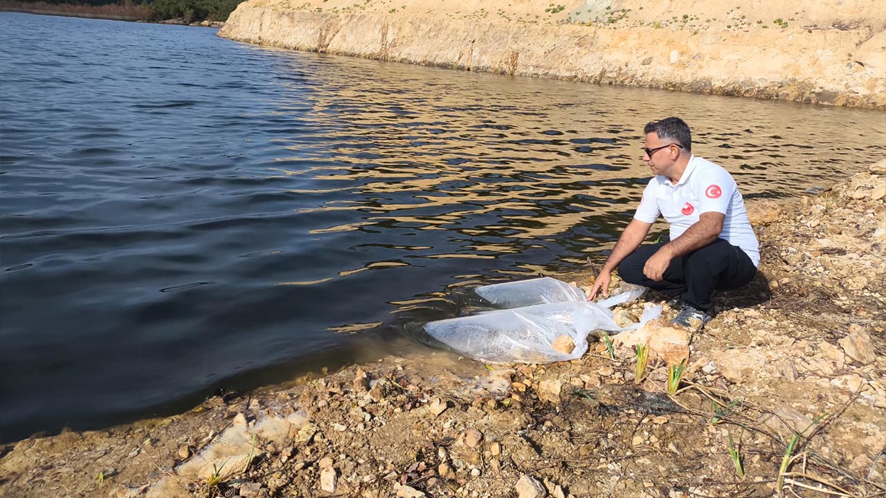 Yalova’daki Göletlere 180 Bin Yavru Balık Bırakıldı (1)