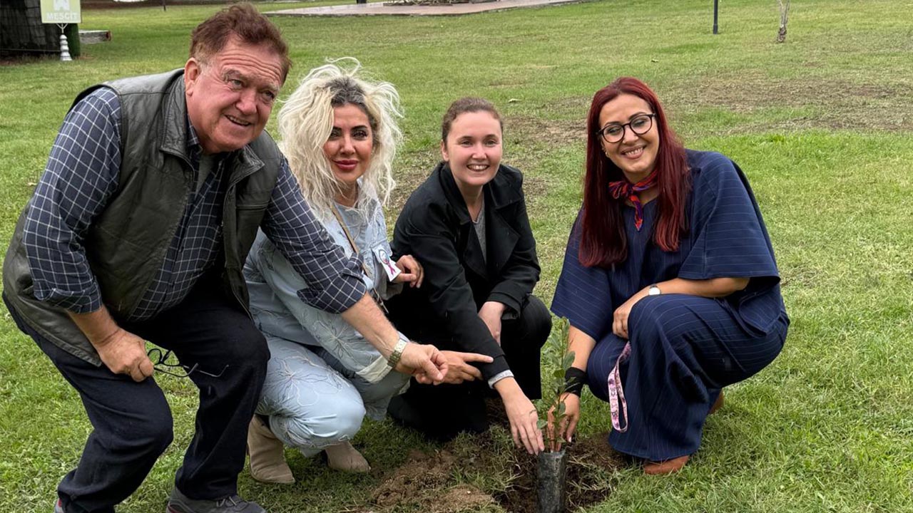 Ayrıştırmadan Birleştirelim 1 (4)