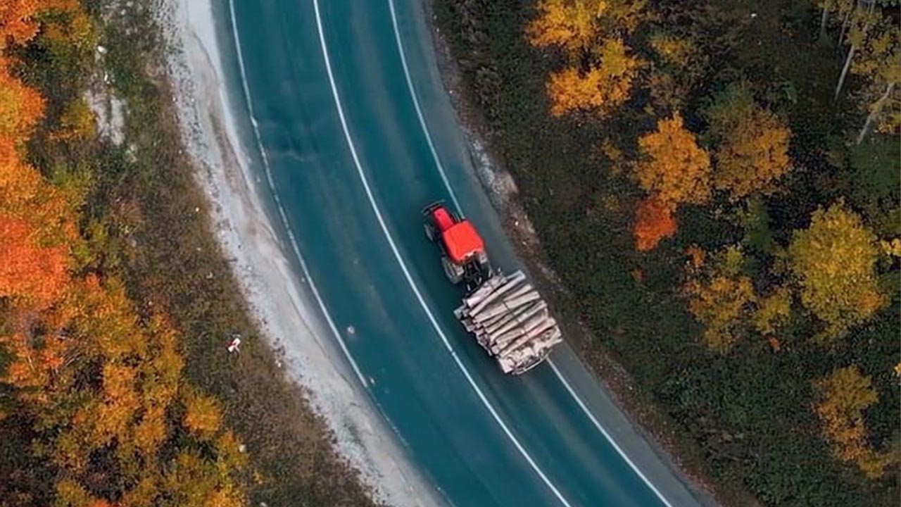 Bursa'da Sonbaharla Ormanlara Gelen Renk Cümbüşü (3)