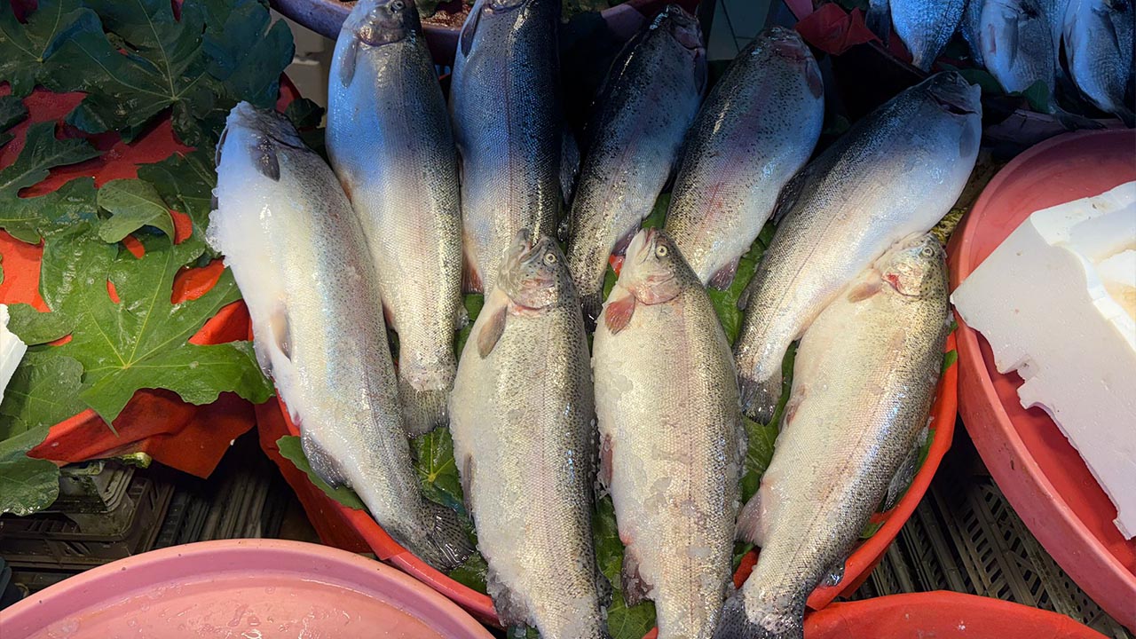 Yalova Balik Tezgahlari Fiyat Hamsi (1)