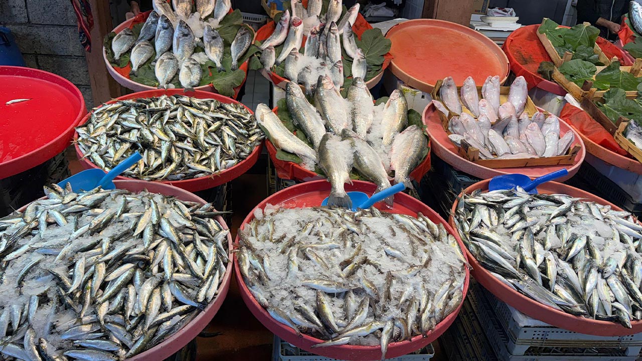 Yalova Balik Tezgahlari Fiyat Hamsi (2)