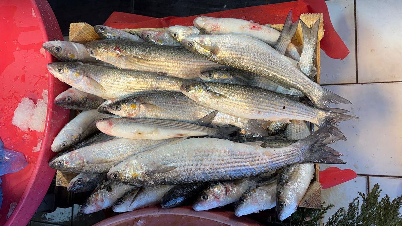 Yalova Balik Tezgahlari Fiyat Hamsi (5)