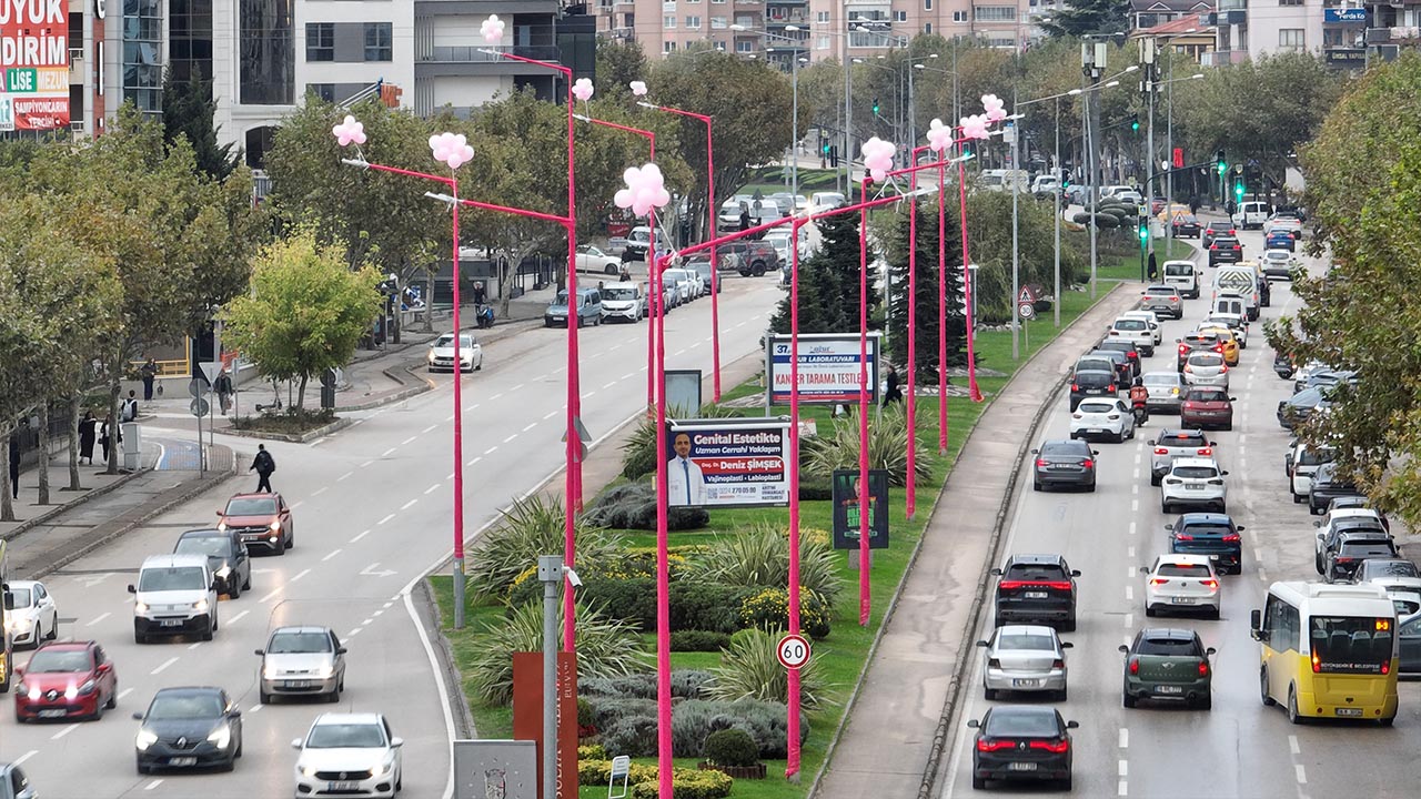Yalova Balikesir Bursa Canakkale Uedas Meme Kanseri Farkindalik Pembe Sokak Lamba (1)