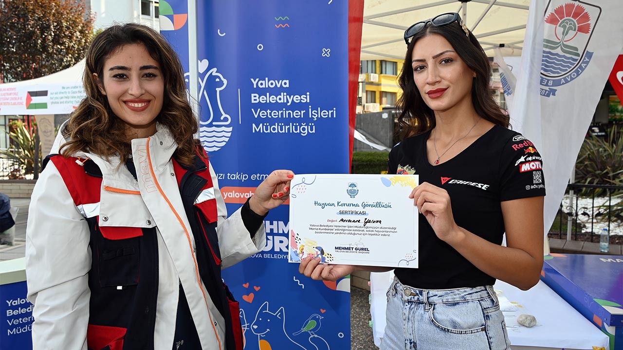 Yalova Belediyesi Askida Mama Sokak Hayvan Bagis Etkinlik (3)