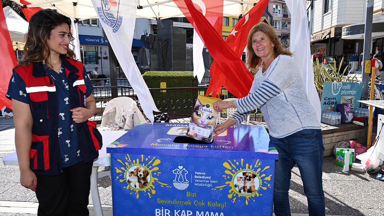 Yalova Belediyesi Askida Mama Sokak Hayvan Bagis Etkinlik (4)