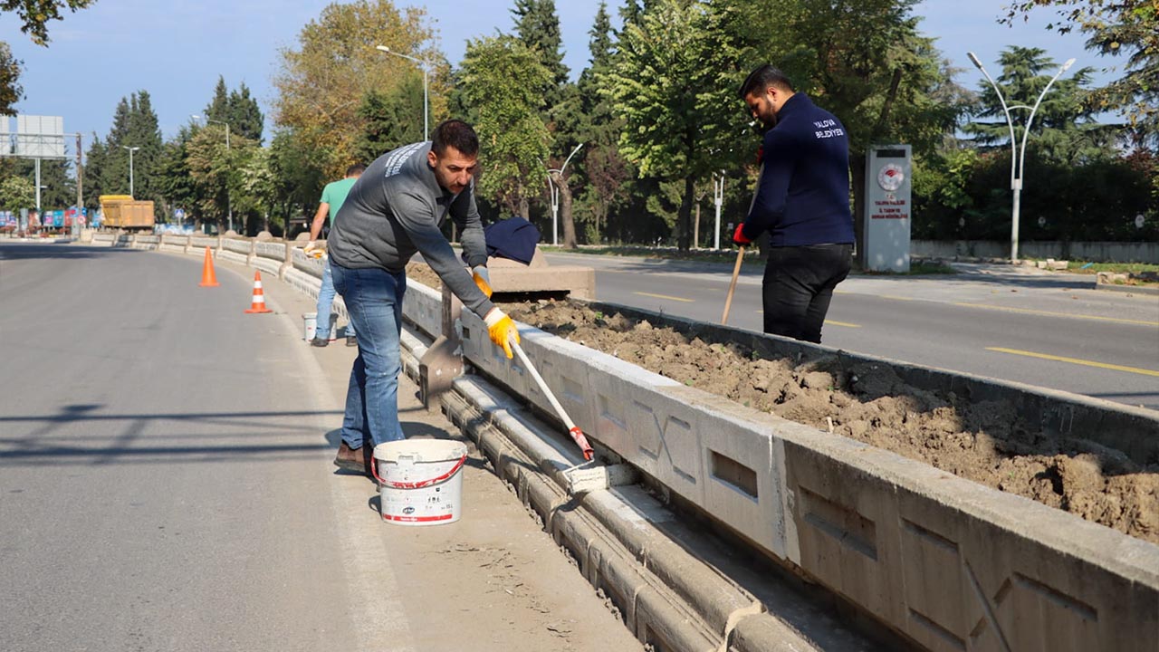 Yalova Belediyesi Temizlik Isleri Ekipler Cengiz Kocal Cadde Orta Refuj Boyama Calisma (3)