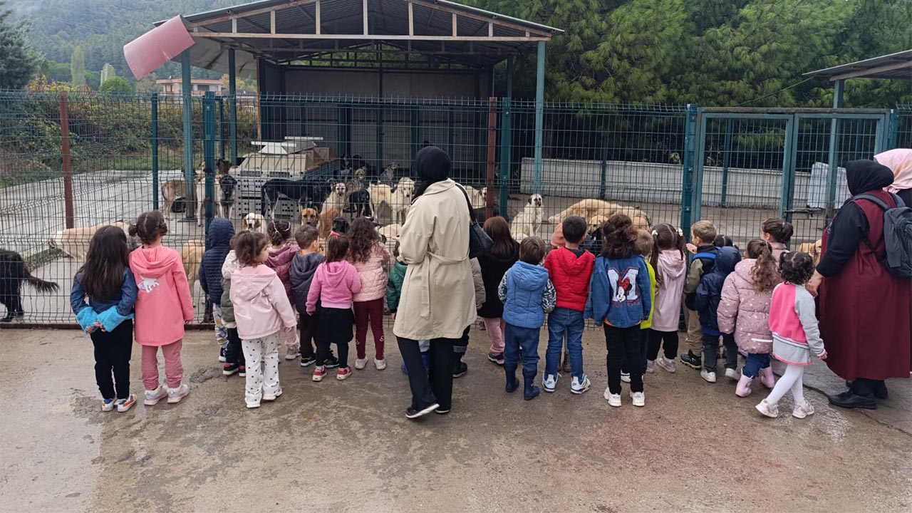 Yalova Beyaz Zambak Kres Ogrenciler Cinarcik Belediye Sokak Hayvan Bakim Merkez (3)