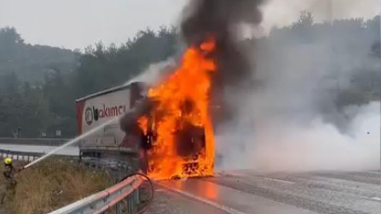 Yalova Bursa Karayol Tir Yangin (3)