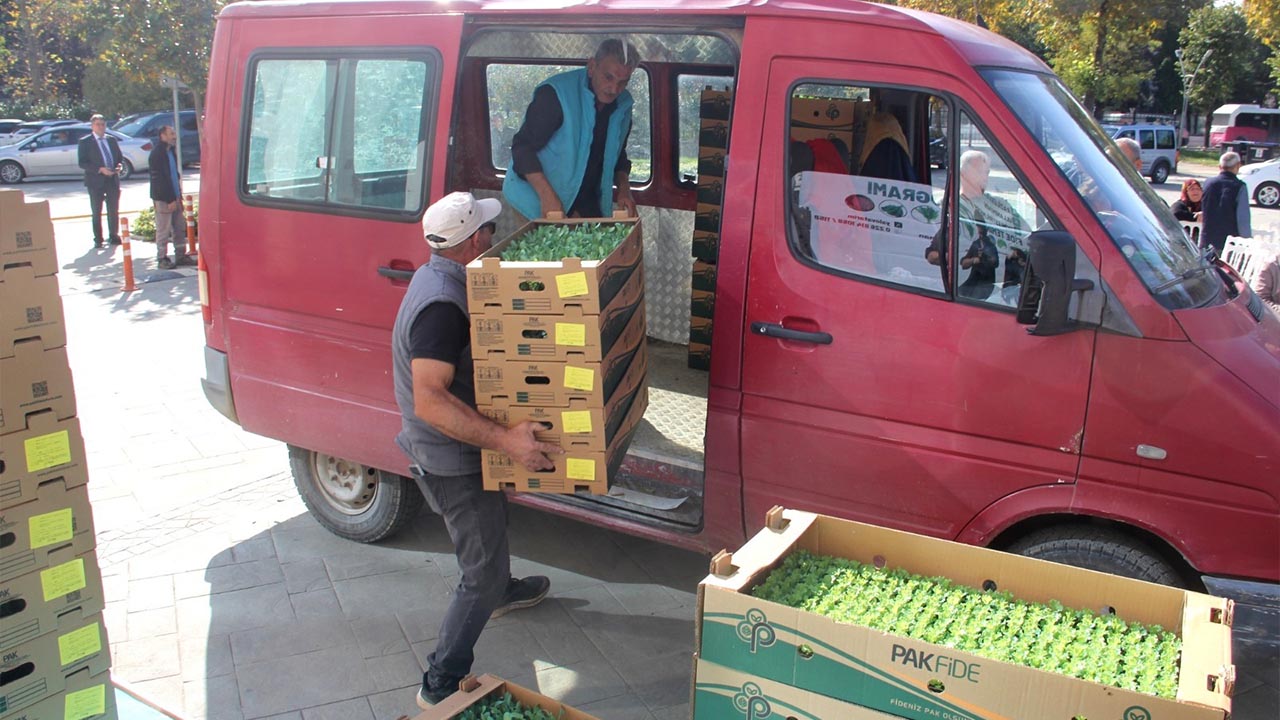 Yalova Il Tarim Take Fide Pazı Ciftci Dagitim (4)