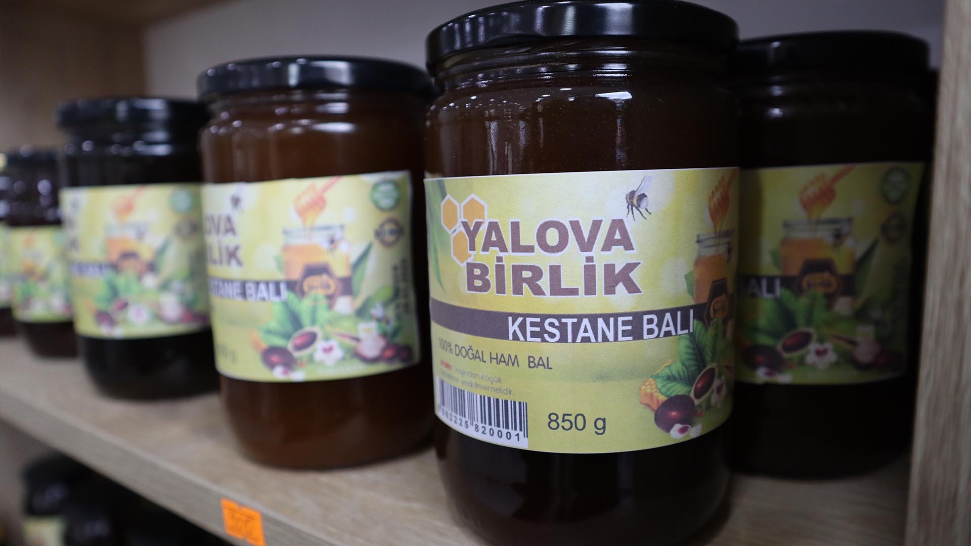 Yalova Kadın Girişimci Kooperatif (3)