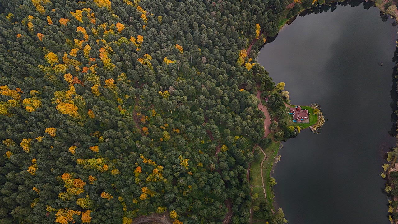 Yalova Kocaeli Golcuk Doga Tabiat Park Ziyaret (3)