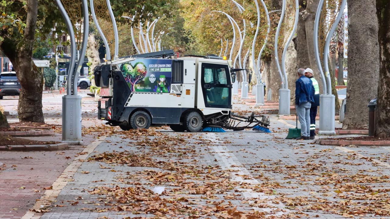 Yalova Termal Tarihi Anit Agaclar Budama (4)