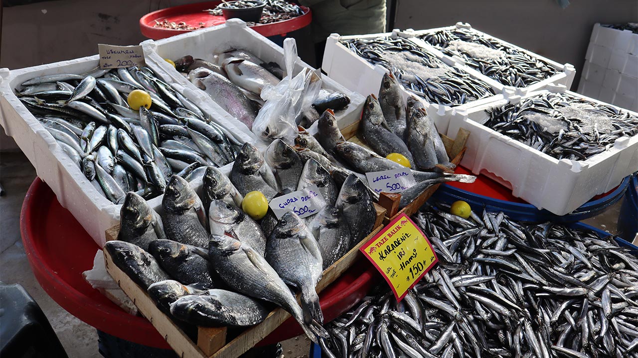 Altınova’da Balık Fiyatları Cep Yakıyor Tezgâhlarda En Pahalı Balık Çinekop–Sarıkanat (3) Kopya