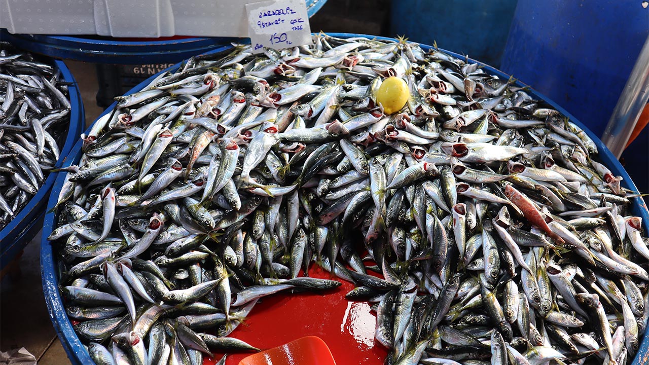 Altınova’da Balık Fiyatları Cep Yakıyor Tezgâhlarda En Pahalı Balık Çinekop–Sarıkanat (5) Kopya