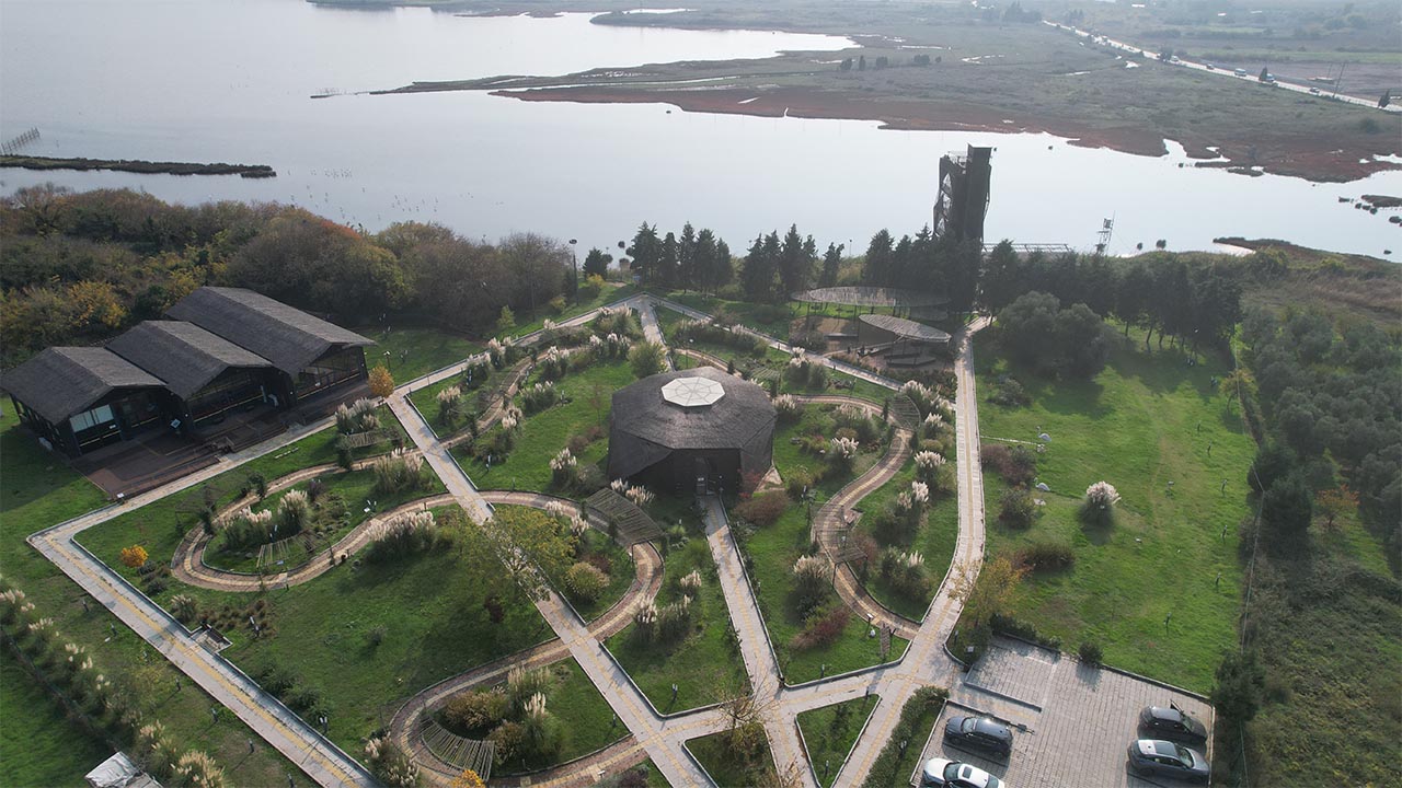 Hersek Lagünü'nde Flamingo Popülasyonu Artıyor (5)