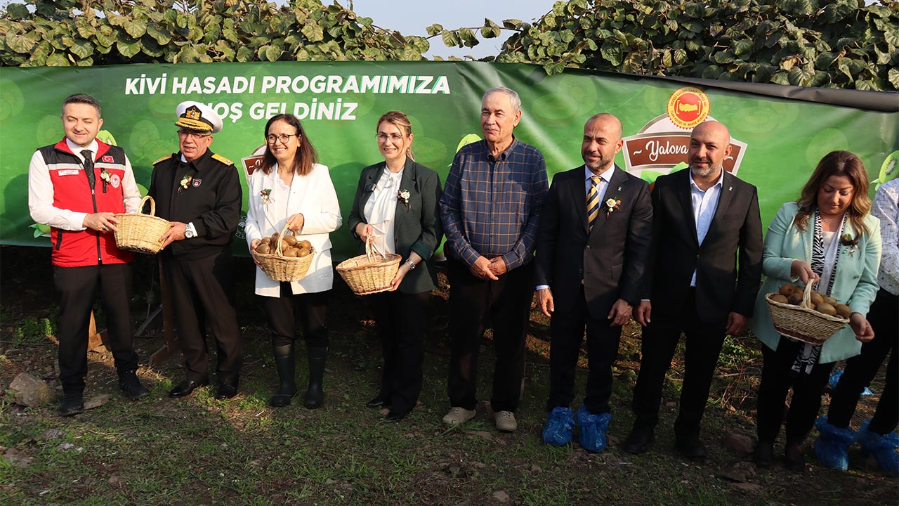 Yalova Kivi Hasat Altinova (1)