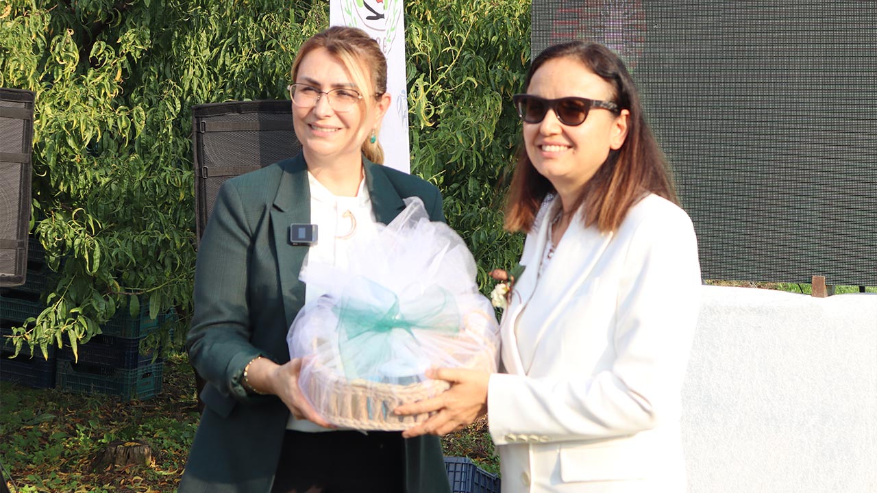 Yalova Kivi Hasat Altinova (11)