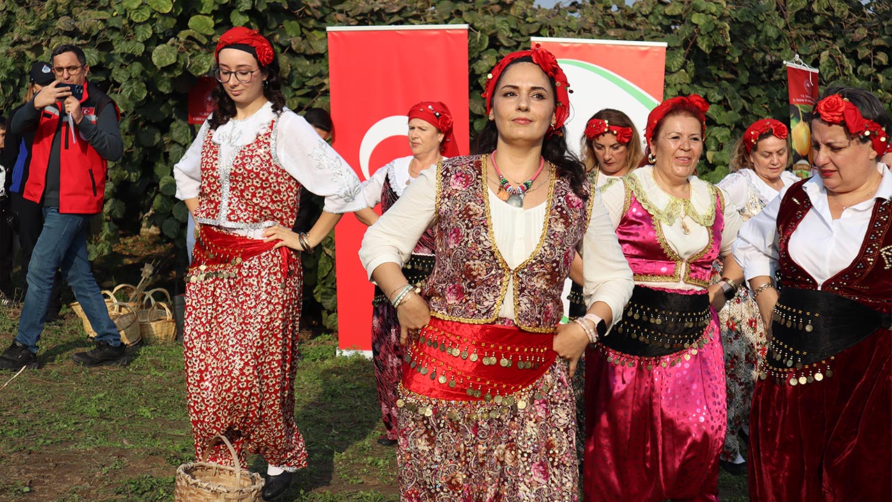 Yalova Kivi Hasat Altinova (12)