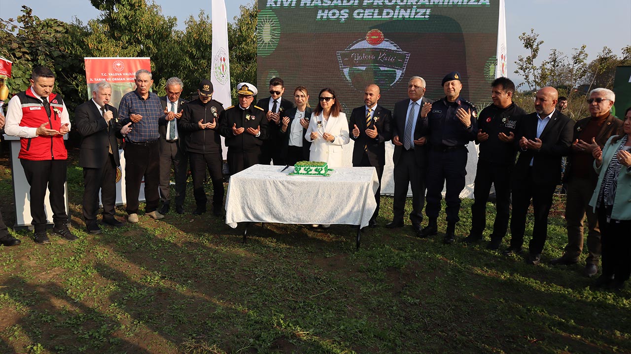 Yalova Kivi Hasat Altinova (13)