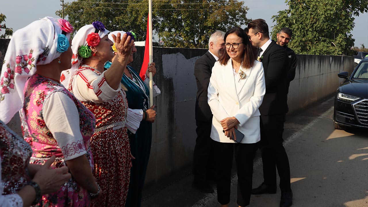 Yalova Kivi Hasat Altinova (2)