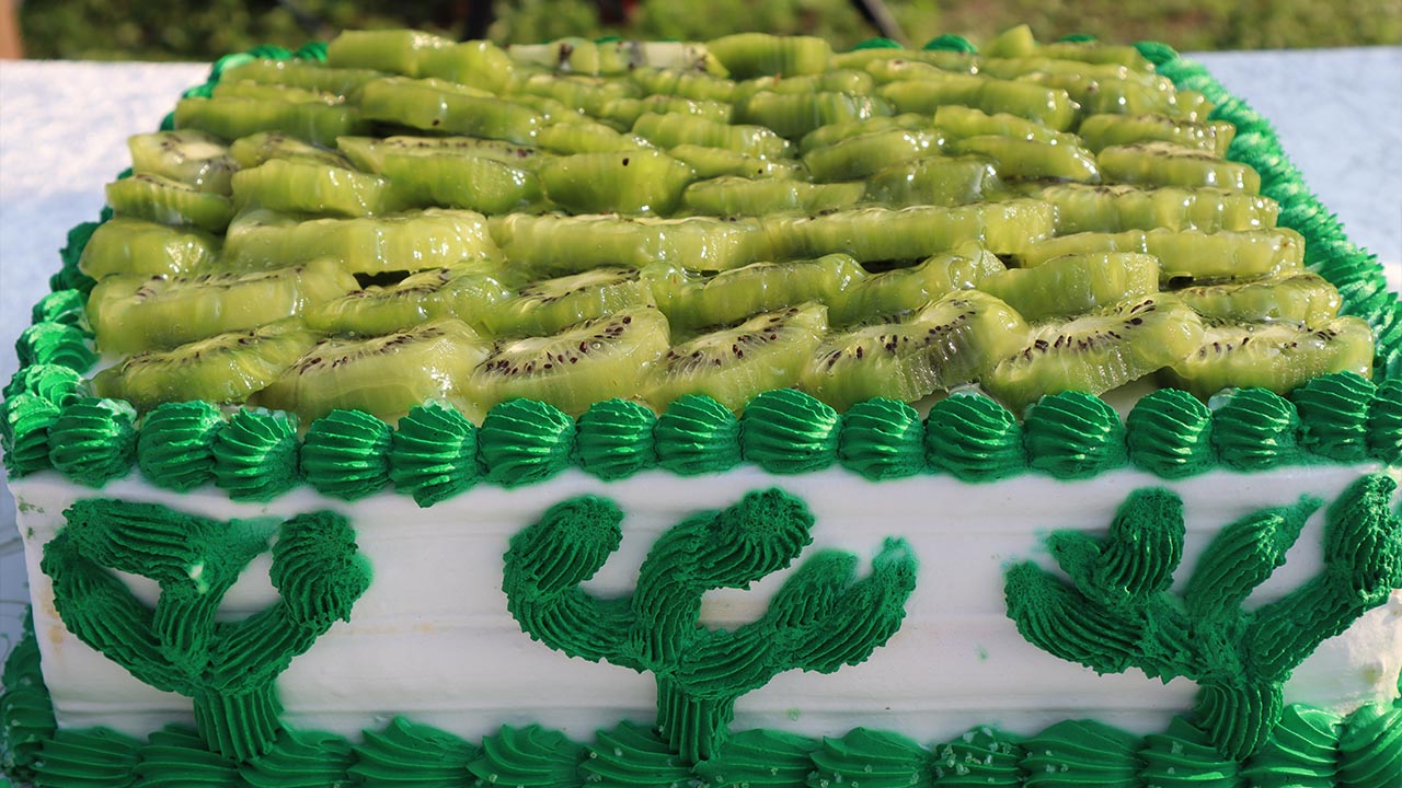 Yalova Kivi Hasat Altinova (4)