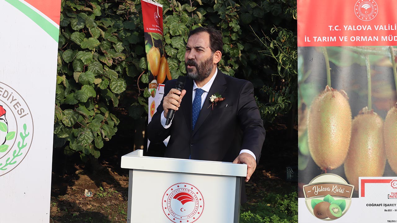 Yalova Kivi Hasat Altinova (9)