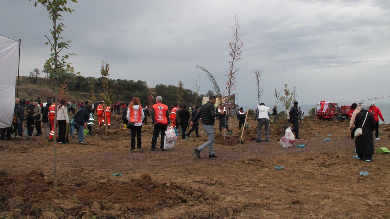 Sevdamız Yeşil Vatan (2)