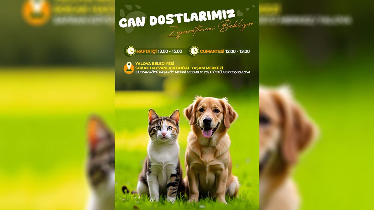 Sokak Hayvanlari Doğal Yaşam Merkezi̇ Zi̇yarete Açiliyor (1)