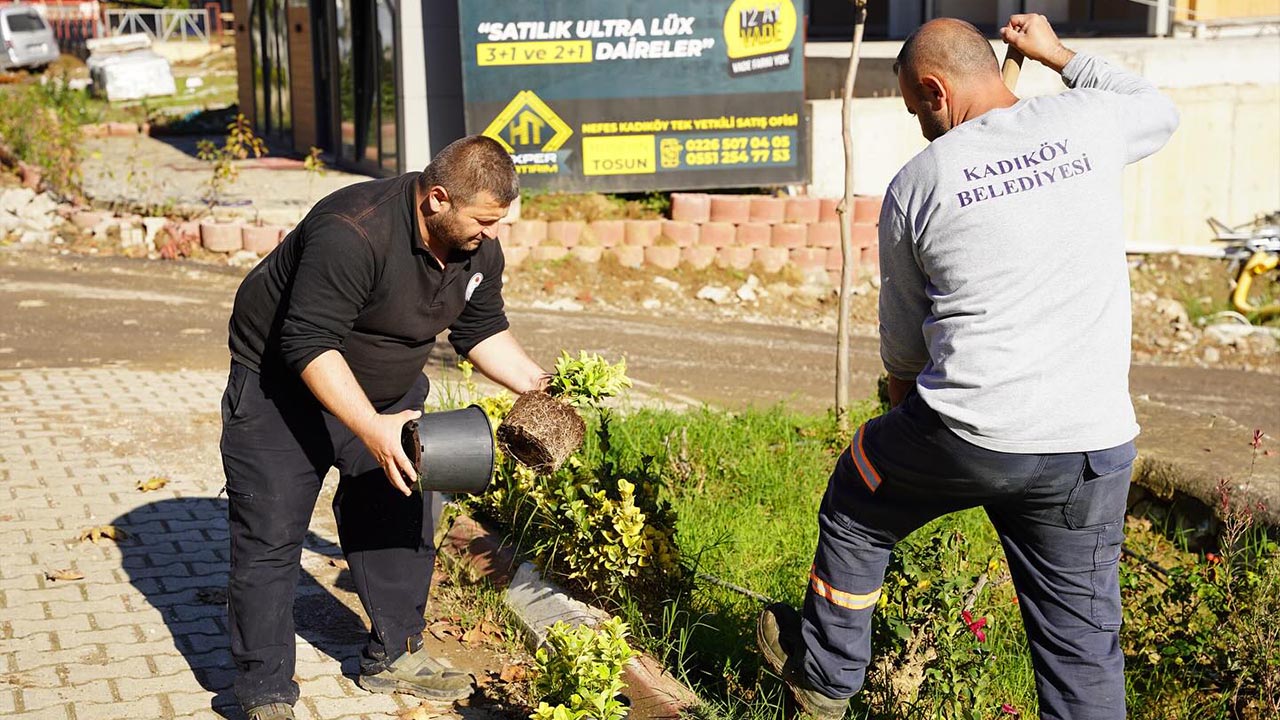 Termal Caddesi Yeşilleniyor (3)