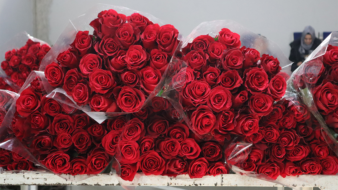 Mezatta Öğretmenler Günü Yoğunluğu Haber Çiçek (1)