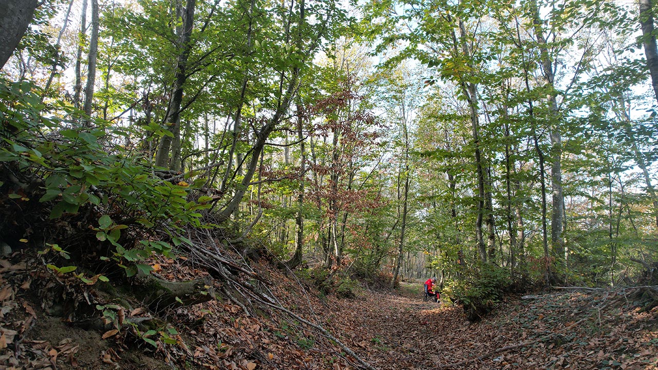 Yalova Sugoren Elmalik Samanli Sonbahar Keyif (1)