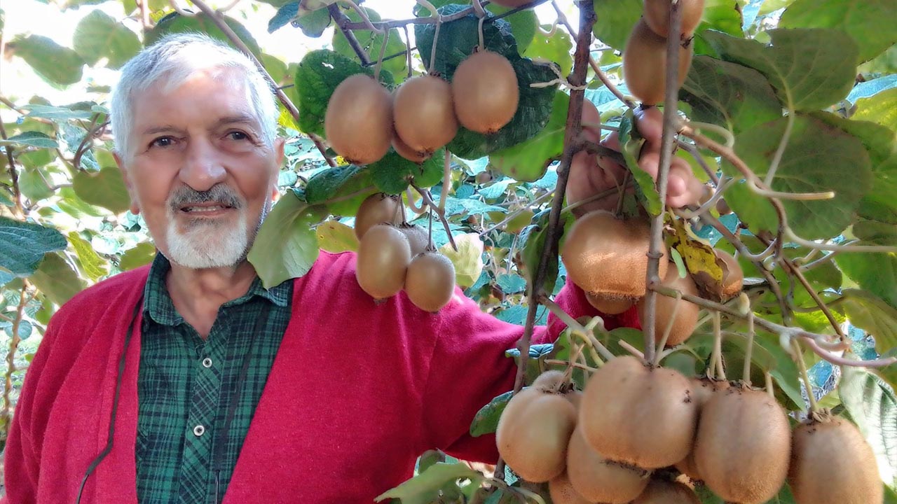 Yalova Altinova Emekli Ogretmen Tarim (2)