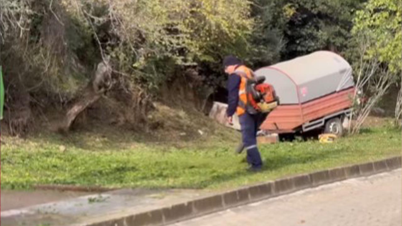 Yalova Altinova Ot Bicme Calismalari Devam Ediyor (2)