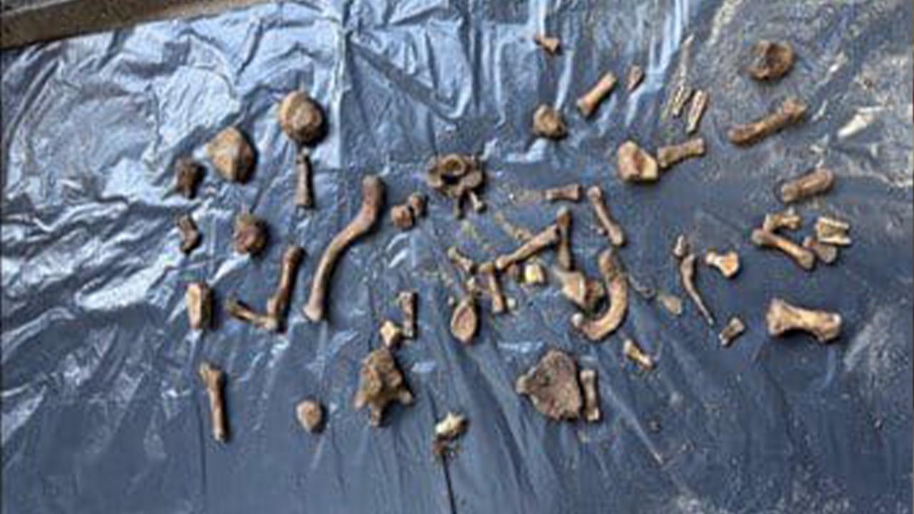 Yalova Bursa Altinova Cocuk Kayip Vaka Atv Muge Anli Jandarma Ceset Supheli Yakalama (4)