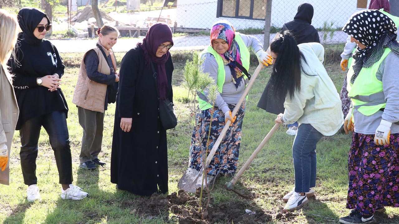 Yalova Ciftlikkoy Belediye Ciftlik Mahalle Isbirligi Fistik Cam Dikme (1)