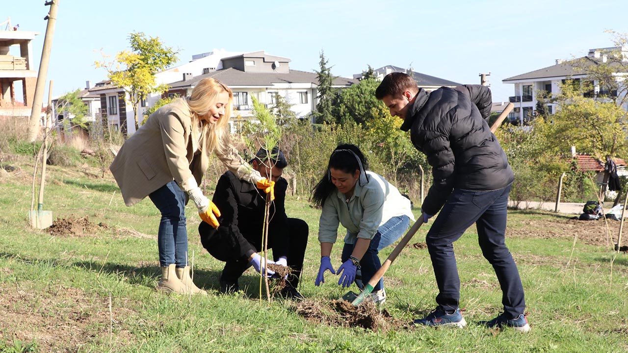 Yalova Ciftlikkoy Belediye Ciftlik Mahalle Isbirligi Fistik Cam Dikme (3)