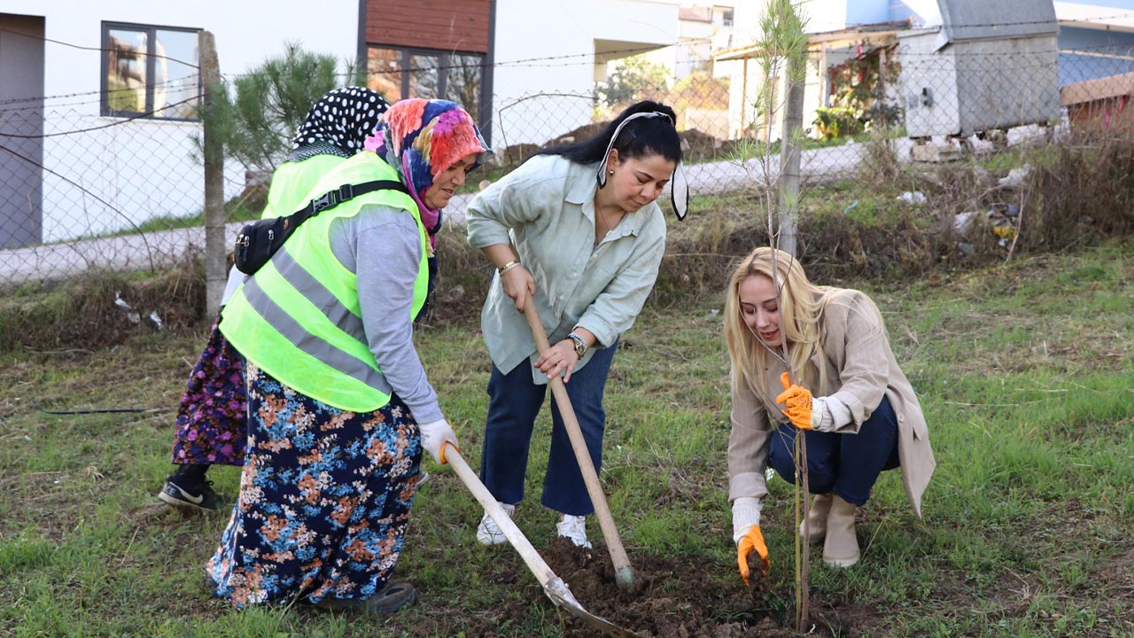 Yalova Ciftlikkoy Belediye Ciftlik Mahalle Isbirligi Fistik Cam Dikme (4)
