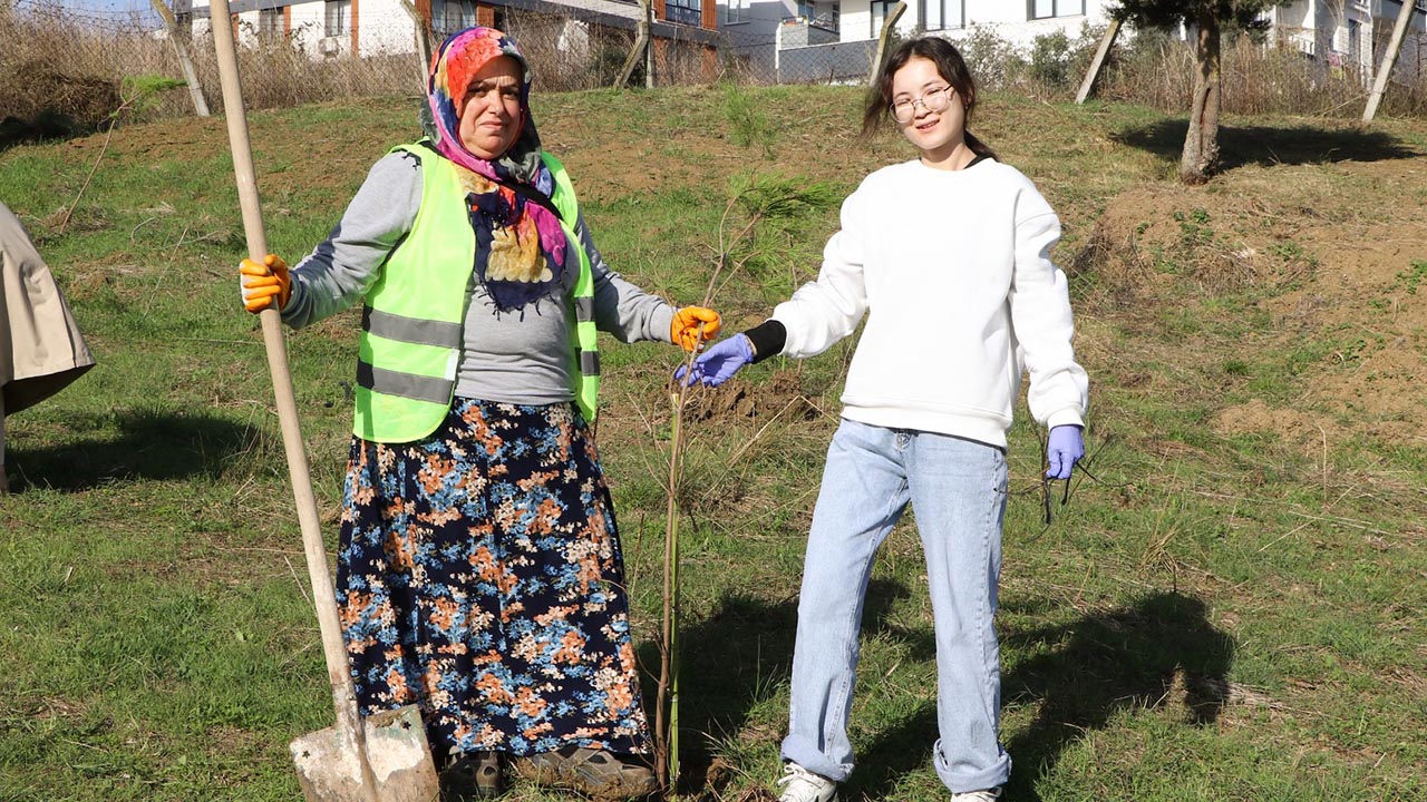 Yalova Ciftlikkoy Belediye Ciftlik Mahalle Isbirligi Fistik Cam Dikme (5)