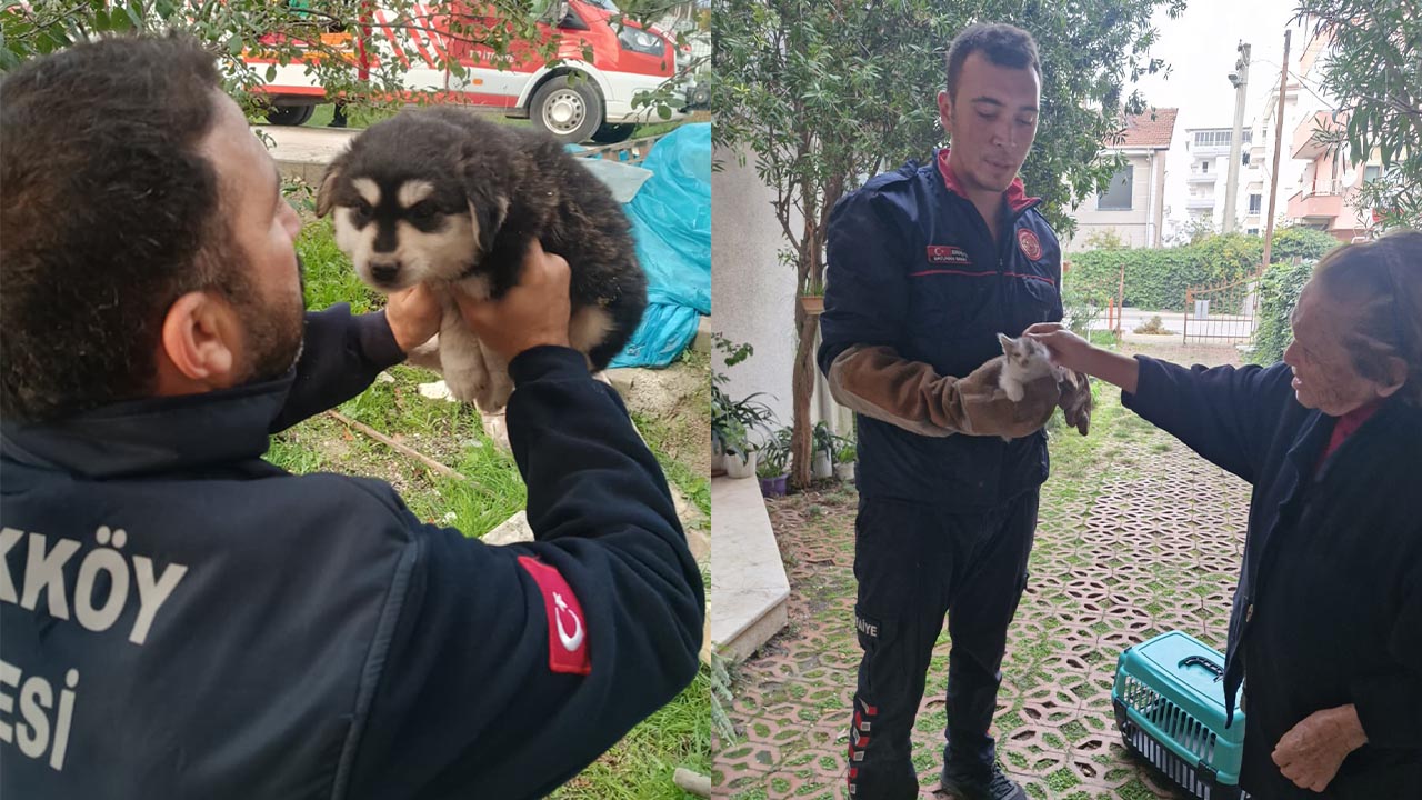 Yalova Ciftlikkoy Belediye Itfaiye Kedi Kopek Yangin Kurtarma Sondurme (1)