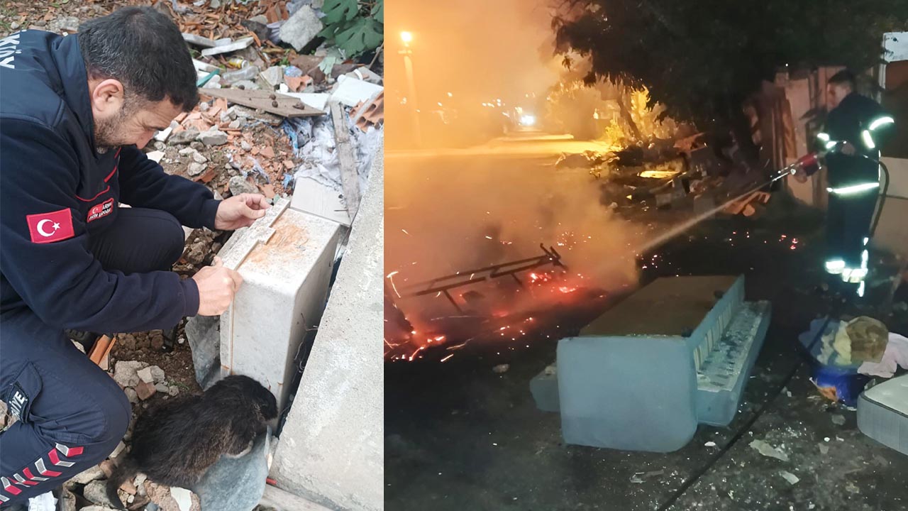 Yalova Ciftlikkoy Belediye Itfaiye Kedi Kopek Yangin Kurtarma Sondurme (4)