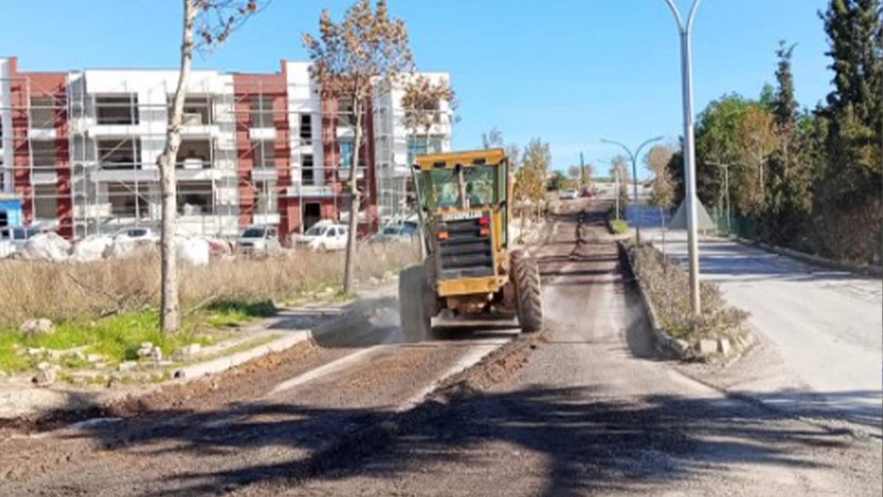 Yalova Ciftlikkoy Genclik Caddesi Asfalt Calismasi (2)