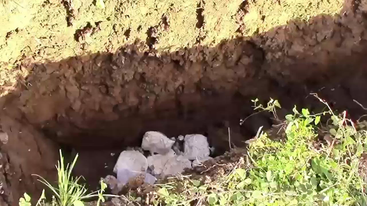 Yalova Il Tarim Orman Mudurluk Gida Denetim Ceza Et Imha (3)