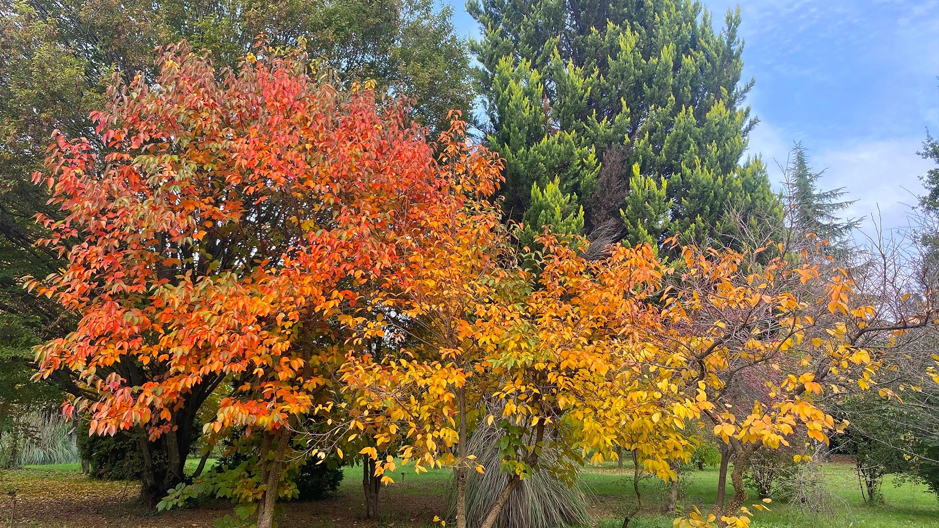 Yalova Karaca Sonbahar (10)