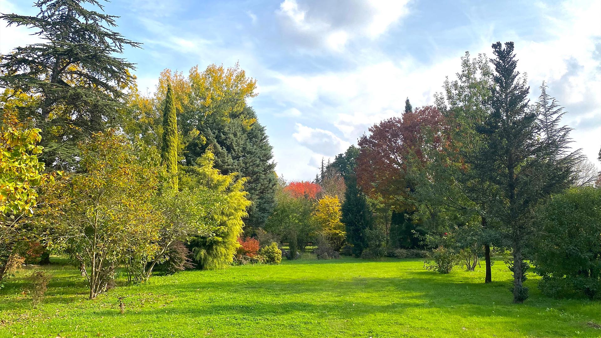 Yalova Karaca Sonbahar (3)