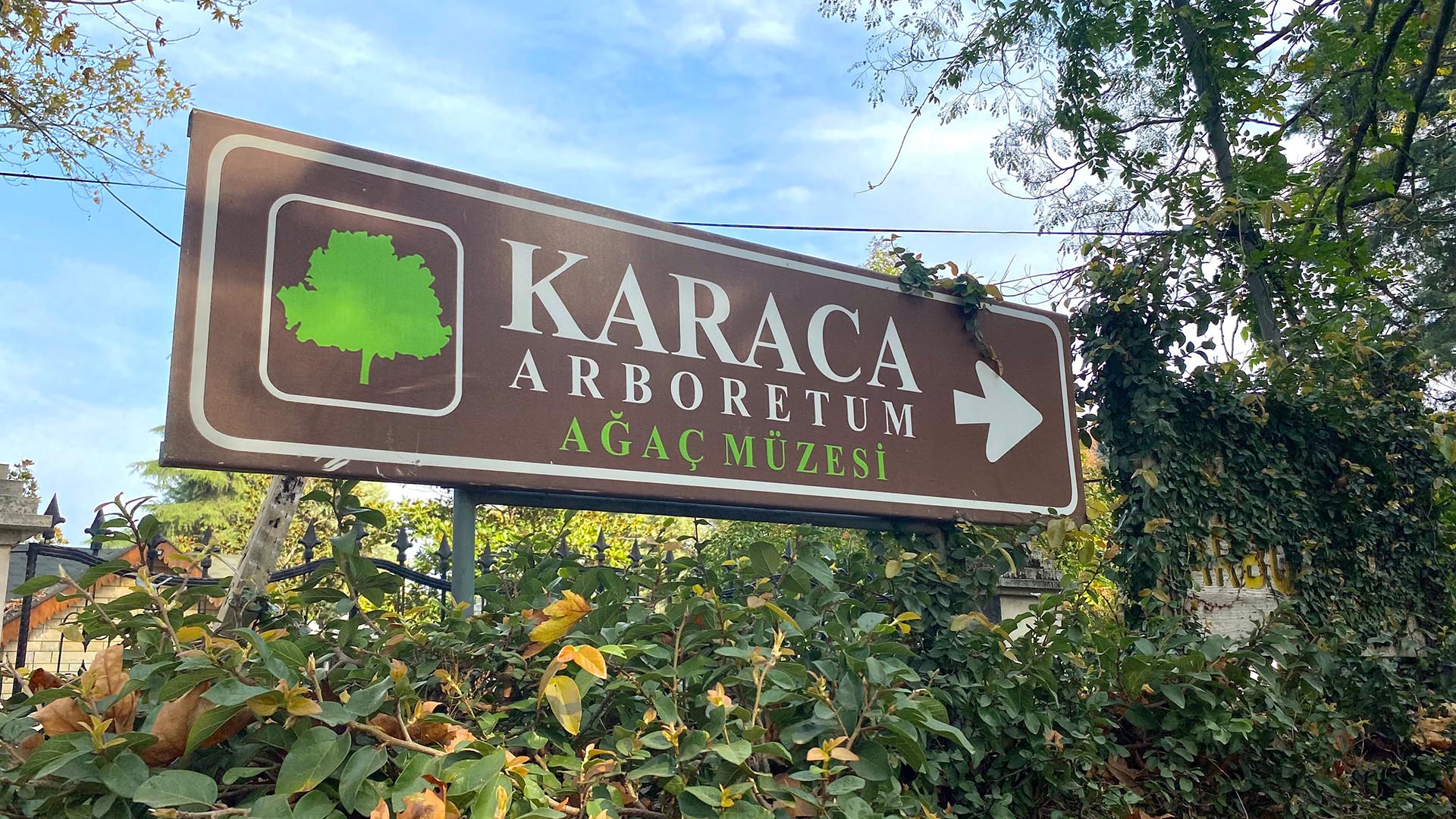 Yalova Karaca Sonbahar (4)